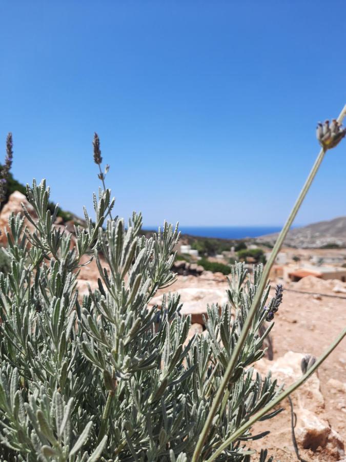 Villa Adeiata Adiata Εξωτερικό φωτογραφία