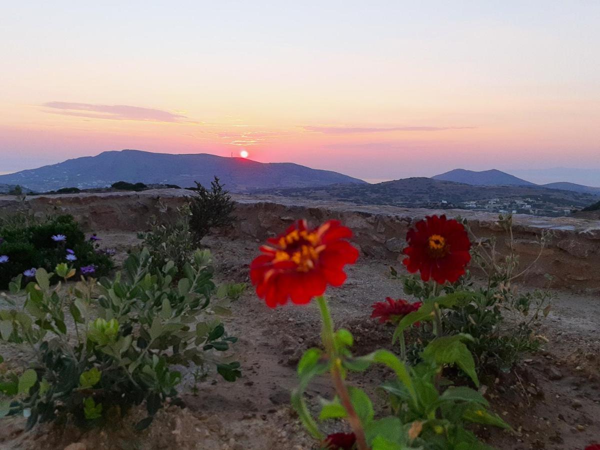 Villa Adeiata Adiata Εξωτερικό φωτογραφία