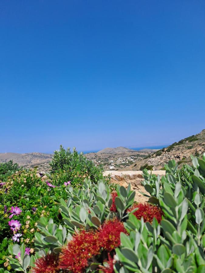 Villa Adeiata Adiata Εξωτερικό φωτογραφία